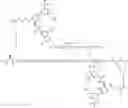 Fig. 268 - GLUCOSE SENSITIVE INSULIN DERIVATIVES
