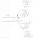 Fig. 282 - GLUCOSE SENSITIVE INSULIN DERIVATIVES