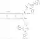 Fig. 291 - GLUCOSE SENSITIVE INSULIN DERIVATIVES