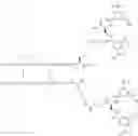 Fig. 293 - GLUCOSE SENSITIVE INSULIN DERIVATIVES