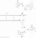 Fig. 294 - GLUCOSE SENSITIVE INSULIN DERIVATIVES