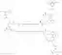 Fig. 302 - GLUCOSE SENSITIVE INSULIN DERIVATIVES