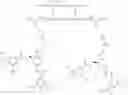 Fig. 319 - GLUCOSE SENSITIVE INSULIN DERIVATIVES
