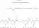 Fig. 338 - GLUCOSE SENSITIVE INSULIN DERIVATIVES