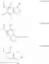 Fig. 34 - GLUCOSE SENSITIVE INSULIN DERIVATIVES