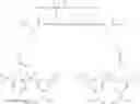 Fig. 365 - GLUCOSE SENSITIVE INSULIN DERIVATIVES