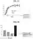 Fig. 03 - METHODS FOR SAFE AND EFFECTIVE THROMBOLYSIS USING SEQUENTIAL ADMINISTRATION OF TISSUE PLASMINOGEN ACTIVATOR AND MUTANT PRO-UROKINASE
