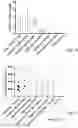 Fig. 08 - Nucleic acid vaccination using neo-epitope encoding constructs