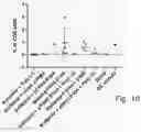 Fig. 09 - Nucleic acid vaccination using neo-epitope encoding constructs