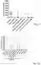 Fig. 10 - Nucleic acid vaccination using neo-epitope encoding constructs