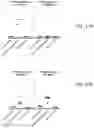 Fig. 11 - Nucleic acid vaccination using neo-epitope encoding constructs