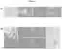 Fig. 02 - A Composition for the Delivery of Biologically Active Agents and Uses Thereof