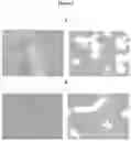Fig. 04 - A Composition for the Delivery of Biologically Active Agents and Uses Thereof