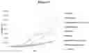 Fig. 13 - A Composition for the Delivery of Biologically Active Agents and Uses Thereof