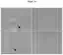 Fig. 16 - A Composition for the Delivery of Biologically Active Agents and Uses Thereof