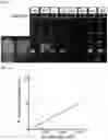 Fig. 04 - METHODS AND COMPOSITIONS FOR TREATING AND DIAGNOSING AUTOIMMUNE DISEASES