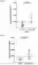 Fig. 13 - METHODS AND COMPOSITIONS FOR TREATING AND DIAGNOSING AUTOIMMUNE DISEASES