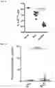 Fig. 26 - METHODS AND COMPOSITIONS FOR TREATING AND DIAGNOSING AUTOIMMUNE DISEASES
