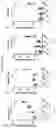 Fig. 09 - Multi-subunit vaccines to elicit both MHC- and CD1-restricted T cell responses