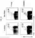 Fig. 16 - Multi-subunit vaccines to elicit both MHC- and CD1-restricted T cell responses