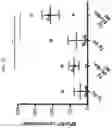 Fig. 17 - Multi-subunit vaccines to elicit both MHC- and CD1-restricted T cell responses