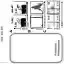 Fig. 29 - Multi-subunit vaccines to elicit both MHC- and CD1-restricted T cell responses