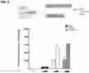 Fig. 05 - VIRUS-LIKE PARTICLES AND USES THEREOF