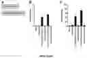 Fig. 09 - VIRUS-LIKE PARTICLES AND USES THEREOF