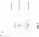 Fig. 05 - IMMUNOGENIC COMPOSITION FORMING A VACCINE, AND A METHOD FOR ITS MANUFACTURE
