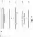 Fig. 11 - IMMUNOGENIC COMPOSITION FORMING A VACCINE, AND A METHOD FOR ITS MANUFACTURE