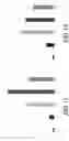 Fig. 13 - IMMUNOGENIC COMPOSITION FORMING A VACCINE, AND A METHOD FOR ITS MANUFACTURE
