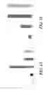 Fig. 14 - IMMUNOGENIC COMPOSITION FORMING A VACCINE, AND A METHOD FOR ITS MANUFACTURE