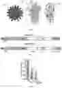 Fig. 04 - UNIVERSAL BACTERIOPHAGE T4 NANOPARTICLE PLATFORM TO DESIGN MULTIPLEX SARS-COV-2 VACCINE CANDIDATES BY CRISPR ENGINEERING