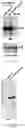 Fig. 10 - UNIVERSAL BACTERIOPHAGE T4 NANOPARTICLE PLATFORM TO DESIGN MULTIPLEX SARS-COV-2 VACCINE CANDIDATES BY CRISPR ENGINEERING