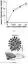 Fig. 26 - UNIVERSAL BACTERIOPHAGE T4 NANOPARTICLE PLATFORM TO DESIGN MULTIPLEX SARS-COV-2 VACCINE CANDIDATES BY CRISPR ENGINEERING