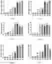 Fig. 32 - UNIVERSAL BACTERIOPHAGE T4 NANOPARTICLE PLATFORM TO DESIGN MULTIPLEX SARS-COV-2 VACCINE CANDIDATES BY CRISPR ENGINEERING