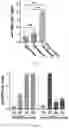 Fig. 34 - UNIVERSAL BACTERIOPHAGE T4 NANOPARTICLE PLATFORM TO DESIGN MULTIPLEX SARS-COV-2 VACCINE CANDIDATES BY CRISPR ENGINEERING