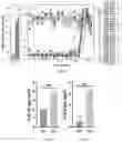 Fig. 42 - UNIVERSAL BACTERIOPHAGE T4 NANOPARTICLE PLATFORM TO DESIGN MULTIPLEX SARS-COV-2 VACCINE CANDIDATES BY CRISPR ENGINEERING