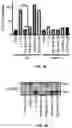 Fig. 10 - Immunomodulatory lipopolysaccharide compositions
