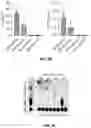 Fig. 14 - Immunomodulatory lipopolysaccharide compositions