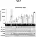 Fig. 08 - TRITERPENE SAPONIN ANALOGUES