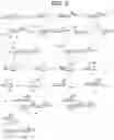 Fig. 09 - TRITERPENE SAPONIN ANALOGUES