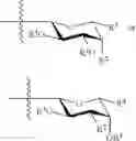 Fig. 16 - TRITERPENE SAPONIN ANALOGUES