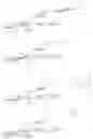 Fig. 42 - TRITERPENE SAPONIN ANALOGUES