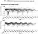 Fig. 04 - ANTI-CD19 COMBINATION THERAPY