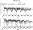 Fig. 05 - ANTI-CD19 COMBINATION THERAPY