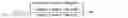Fig. 04 - BICYCLE TOXIN CONJUGATES AND USES THEREOF