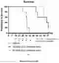 Fig. 11 - BICYCLE TOXIN CONJUGATES AND USES THEREOF