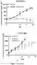Fig. 16 - BICYCLE TOXIN CONJUGATES AND USES THEREOF