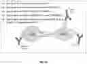 Fig. 11 - PROCESS FOR THE PREPARATION OF LIPIDATED PROTEINACEOUS STRUCTURES